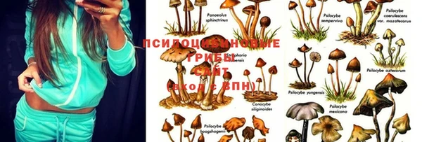 MDMA Аркадак